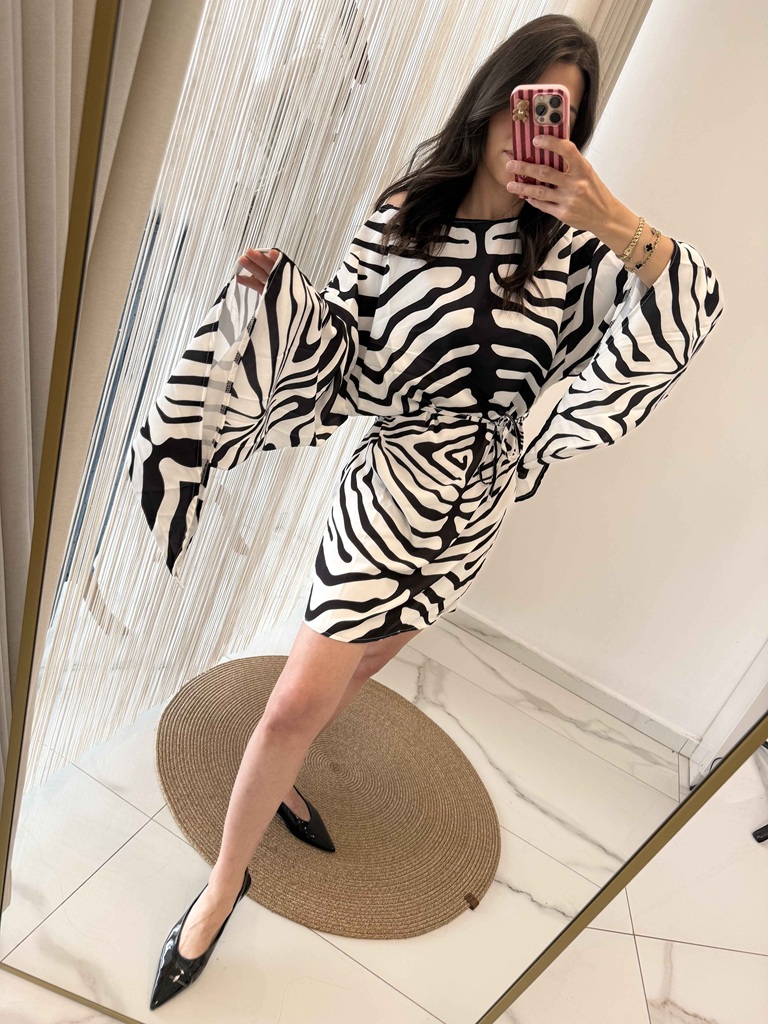 Zebra Desenli Yarasa Kol Elbise - Görsel 2